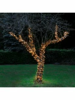 Am billigsten 😀 Home & Living AMARE 1000 LED Lampenkette G In Bernstein Günstig Kaufen ✨ 13 Am billigsten 😀 Home & Living AMARE 1000 LED Lampenkette G In Bernstein Günstig Kaufen ✨ -Günstige samare Geschäft amare 1000 led lampenkette g in bernstein 3