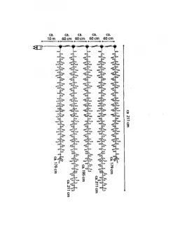 Aktion 🎉 Home & Living AMARE Clusterlampenkette EEK G In Grün Günstig Kaufen 💯