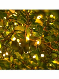 Aktion 🎉 Home & Living AMARE Clusterlampenkette EEK G In Grün Günstig Kaufen 💯 -Günstige samare Geschäft amare clusterlampenkette eek g in grun 4