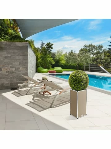 Bester Verkauf 🎁 Garten & Balkon AMARE Lederoptik Pflanzgefäß In Beige Günstig Kaufen ⌛ 7 Bester Verkauf 🎁 Garten & Balkon AMARE Lederoptik Pflanzgefäß In Beige Günstig Kaufen ⌛ – Bild 7