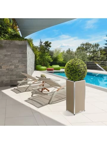 Budget ⌛ Garten & Balkon AMARE Lederoptik Pflanzgefäß In Beige Günstig Kaufen 😍 7 Budget ⌛ Garten & Balkon AMARE Lederoptik Pflanzgefäß In Beige Günstig Kaufen 😍 – Bild 7