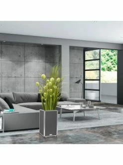 Beste Bewertungen von 🎁 Garten & Balkon AMARE Lederoptik Pflanzgefäß In Grau Günstig Kaufen 🧨 -Günstige samare Geschäft amare lederoptik pflanzgefass in grau 21