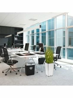 Bester Verkauf 🔥 Garten & Balkon AMARE Lederoptik Pflanzgefäß In Weiß Günstig Kaufen 🎉 14 Bester Verkauf 🔥 Garten & Balkon AMARE Lederoptik Pflanzgefäß In Weiß Günstig Kaufen 🎉 -Günstige samare Geschäft amare lederoptik pflanzgefass in weiss 30