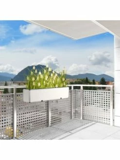 Top 10 ✔️ Garten & Balkon AMARE Lederoptik Pflanzgefäß In Weiß Günstig Kaufen 🥰 -Günstige samare Geschäft amare lederoptik pflanzgefass in weiss 69