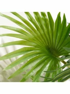 Bestes Angebot 💯 Dekoration AMARE Realistische Plastikpalme Im Topf 120 Cm In Grün Günstig Kaufen 🔥 8 Bestes Angebot 💯 Dekoration AMARE Realistische Plastikpalme Im Topf 120 Cm In Grün Günstig Kaufen 🔥 -Günstige samare Geschäft amare realistische plastikpalme im topf 120 cm in grun 2