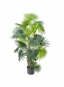 Bestes Angebot 💯 Dekoration AMARE Realistische Plastikpalme Im Topf 120 Cm In Grün Günstig Kaufen 🔥