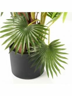 Bestes Angebot 💯 Dekoration AMARE Realistische Plastikpalme Im Topf 120 Cm In Grün Günstig Kaufen 🔥 9 Bestes Angebot 💯 Dekoration AMARE Realistische Plastikpalme Im Topf 120 Cm In Grün Günstig Kaufen 🔥 -Günstige samare Geschäft amare realistische plastikpalme im topf 120 cm in grun 3