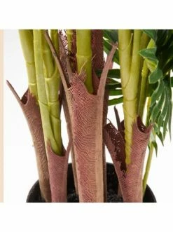 Bestes Angebot 💯 Dekoration AMARE Realistische Plastikpalme Im Topf 120 Cm In Grün Günstig Kaufen 🔥 10 Bestes Angebot 💯 Dekoration AMARE Realistische Plastikpalme Im Topf 120 Cm In Grün Günstig Kaufen 🔥 -Günstige samare Geschäft amare realistische plastikpalme im topf 120 cm in grun 4