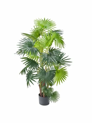 Bestes Angebot 💯 Dekoration AMARE Realistische Plastikpalme Im Topf 120 Cm In Grün Günstig Kaufen 🔥 1 Bestes Angebot 💯 Dekoration AMARE Realistische Plastikpalme Im Topf 120 Cm In Grün Günstig Kaufen 🔥