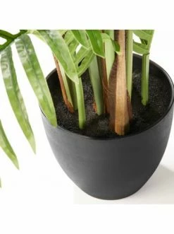 Besorgen ⌛ Dekoration AMARE Realistische Plastikpalme Im Topf 94 Cm In Grün Günstig Kaufen 🌟 10 Besorgen ⌛ Dekoration AMARE Realistische Plastikpalme Im Topf 94 Cm In Grün Günstig Kaufen 🌟 -Günstige samare Geschäft amare realistische plastikpalme im topf 94 cm in grun 4