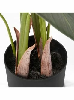 Schlussverkauf ✨ Dekoration AMARE Realistische Plastikpflanze Im Topf 130 Cm In Grün Günstig Kaufen ⌛ -Günstige samare Geschäft amare realistische plastikpflanze im topf 130 cm in grun 2