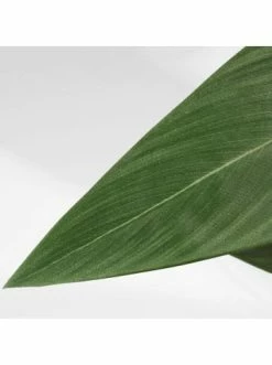 Schlussverkauf ✨ Dekoration AMARE Realistische Plastikpflanze Im Topf 130 Cm In Grün Günstig Kaufen ⌛ -Günstige samare Geschäft amare realistische plastikpflanze im topf 130 cm in grun 3