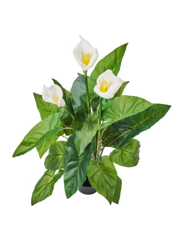 Blitzangebot ❤️ Dekoration AMARE Realistische Plastikpflanze Mit Weißer Blüte Im Topf In Grün Günstig Kaufen 🤩 2 Blitzangebot ❤️ Dekoration AMARE Realistische Plastikpflanze Mit Weißer Blüte Im Topf In Grün Günstig Kaufen 🤩 – Bild 2