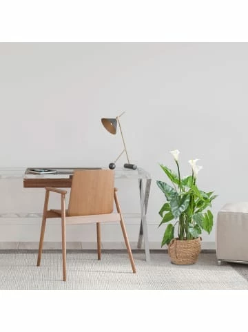 Blitzangebot ❤️ Dekoration AMARE Realistische Plastikpflanze Mit Weißer Blüte Im Topf In Grün Günstig Kaufen 🤩 3 Blitzangebot ❤️ Dekoration AMARE Realistische Plastikpflanze Mit Weißer Blüte Im Topf In Grün Günstig Kaufen 🤩 – Bild 3