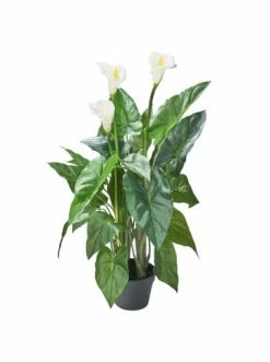 Blitzangebot ❤️ Dekoration AMARE Realistische Plastikpflanze Mit Weißer Blüte Im Topf In Grün Günstig Kaufen 🤩