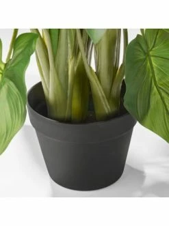 Blitzangebot ❤️ Dekoration AMARE Realistische Plastikpflanze Mit Weißer Blüte Im Topf In Grün Günstig Kaufen 🤩 10 Blitzangebot ❤️ Dekoration AMARE Realistische Plastikpflanze Mit Weißer Blüte Im Topf In Grün Günstig Kaufen 🤩 -Günstige samare Geschäft amare realistische plastikpflanze mit weisser blute im topf in grun 3