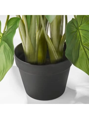 Blitzangebot ❤️ Dekoration AMARE Realistische Plastikpflanze Mit Weißer Blüte Im Topf In Grün Günstig Kaufen 🤩 4 Blitzangebot ❤️ Dekoration AMARE Realistische Plastikpflanze Mit Weißer Blüte Im Topf In Grün Günstig Kaufen 🤩 – Bild 4