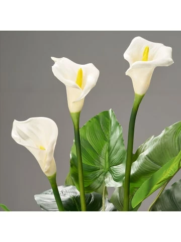 Blitzangebot ❤️ Dekoration AMARE Realistische Plastikpflanze Mit Weißer Blüte Im Topf In Grün Günstig Kaufen 🤩 5 Blitzangebot ❤️ Dekoration AMARE Realistische Plastikpflanze Mit Weißer Blüte Im Topf In Grün Günstig Kaufen 🤩 – Bild 5