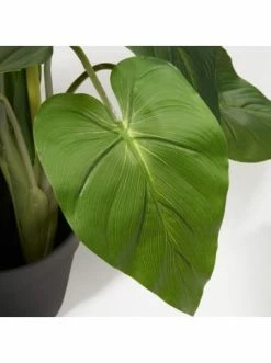 Blitzangebot ❤️ Dekoration AMARE Realistische Plastikpflanze Mit Weißer Blüte Im Topf In Grün Günstig Kaufen 🤩 12 Blitzangebot ❤️ Dekoration AMARE Realistische Plastikpflanze Mit Weißer Blüte Im Topf In Grün Günstig Kaufen 🤩 -Günstige samare Geschäft amare realistische plastikpflanze mit weisser blute im topf in grun 5