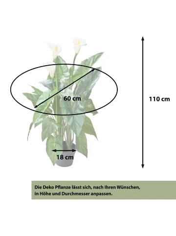 Blitzangebot ❤️ Dekoration AMARE Realistische Plastikpflanze Mit Weißer Blüte Im Topf In Grün Günstig Kaufen 🤩 7 Blitzangebot ❤️ Dekoration AMARE Realistische Plastikpflanze Mit Weißer Blüte Im Topf In Grün Günstig Kaufen 🤩 – Bild 7