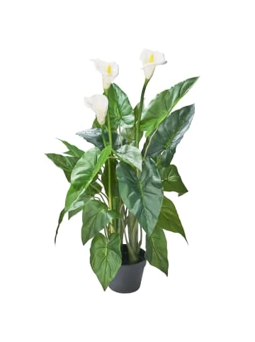 Blitzangebot ❤️ Dekoration AMARE Realistische Plastikpflanze Mit Weißer Blüte Im Topf In Grün Günstig Kaufen 🤩 1 Blitzangebot ❤️ Dekoration AMARE Realistische Plastikpflanze Mit Weißer Blüte Im Topf In Grün Günstig Kaufen 🤩